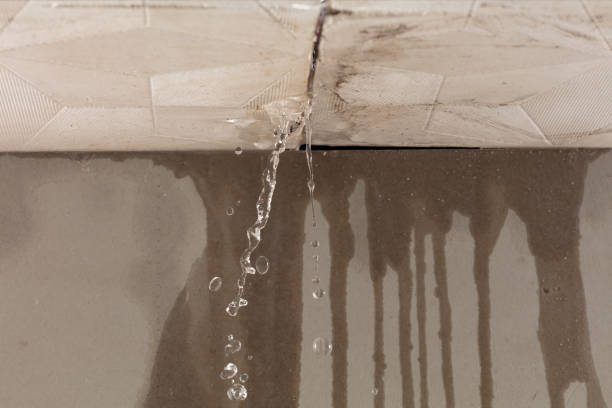 Professional Water Extraction technician working in Ariel, WA